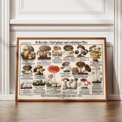 Giftige svampe 1909 - Botanisk planche