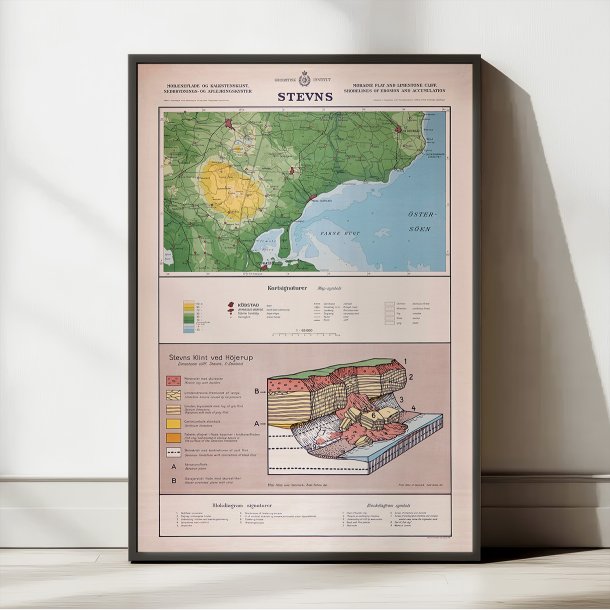 Stevns Klint 1954 - Geologisk undervisningsplakat