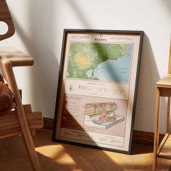 Stevns Klint 1954 - Geologisk undervisningsplakat