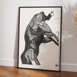 Mandens muskler I - Anatomisk planche fra 1920