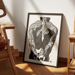 Mandens muskler II - Anatomisk planche fra 1920