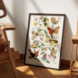 Sommerfugle og natsv�rmere - Naturillustration fra 1842