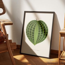Dichorisandra undata - Botanisk illustration fra 1865