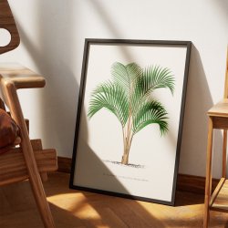 Palmer - Botanisk illustration fra 1878