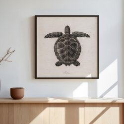 Skildpadde - Naturillustration