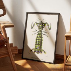 Kn�lerreje - Naturillustration fra 1892