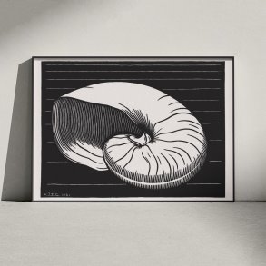 Muslingeskal - Grafik af Julie de Graag fra 1921