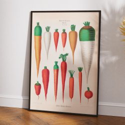 Guler�dder - Botanisk planche af Ernst Benary fra 1880