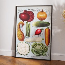 Rawson's gr�ntsags- og blomsterfr� - Reklameplakat fra 1895