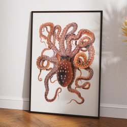 Hvidplettet bl�ksprutte - Naturillustration fra 1896