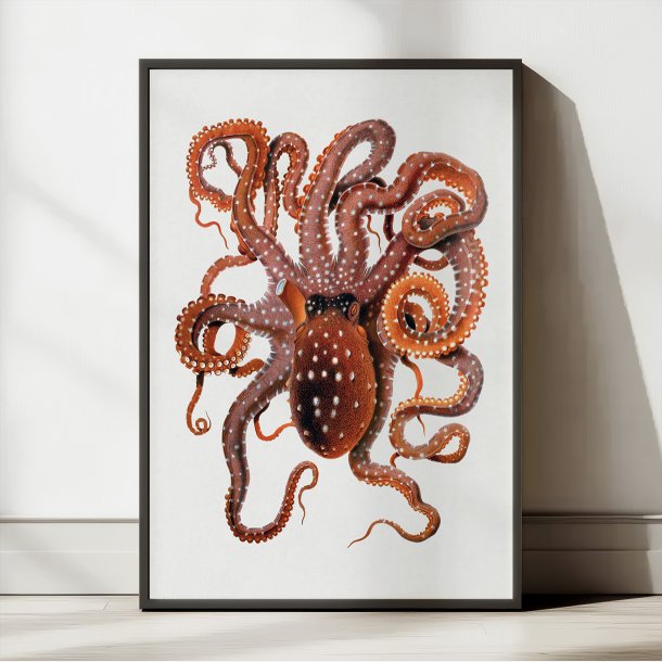 Hvidplettet bl�ksprutte - Naturillustration fra 1896
