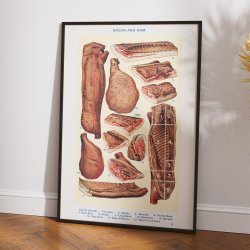 Bacon og skinke - Viktoriansk madillustration fra 1923