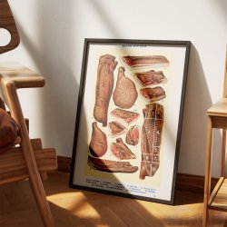 Bacon og skinke - Viktoriansk madillustration fra 1923