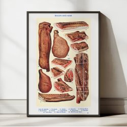 Bacon og skinke - Viktoriansk madillustration fra 1923