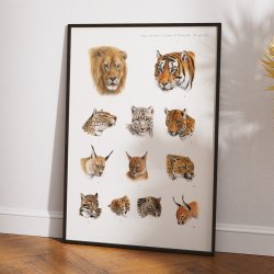 Indiens vilde dyr - Safariillustration fra 1900