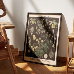 Humle og hamp 1894 - Botanisk planche