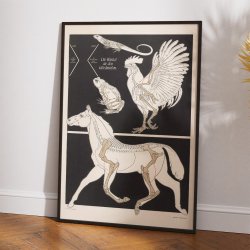 Vinklen i glideled 1907 - Zoologisk undervisningsplakat