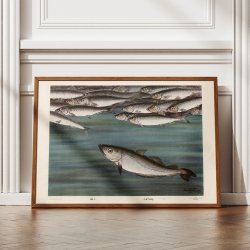 Sild og gr�sej 1931 - Zoologisk planche af Nils Tir�n