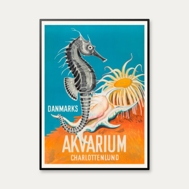 S�hest - Danmarks Akvarium Charlottenlund