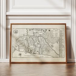 Aalborg 1768 - Historisk bykort