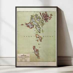 Frerne 1879 - Oversigtskort af Klingsey & Trap