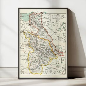 stlige del af Ringkjbing Amt 1873 - Kort