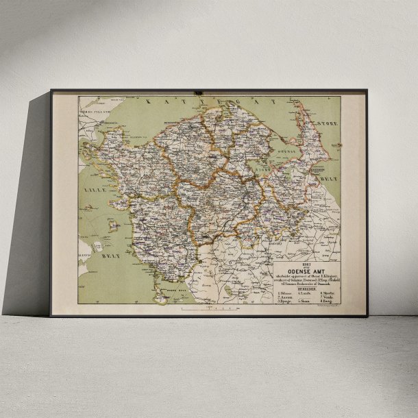 Odense Amt 1873 - Kort over Fyn