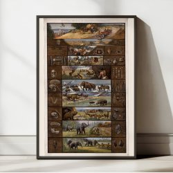 Tavle over ur- og forhistorien 1920 - Anskuelsestavle