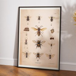 Bier II 1889 - Anskuelsestavle