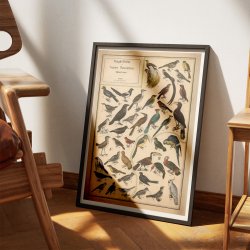 Fugle II 1890 - Anskuelsestavle