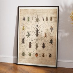 Biller 1850 - Anskuelsestavle