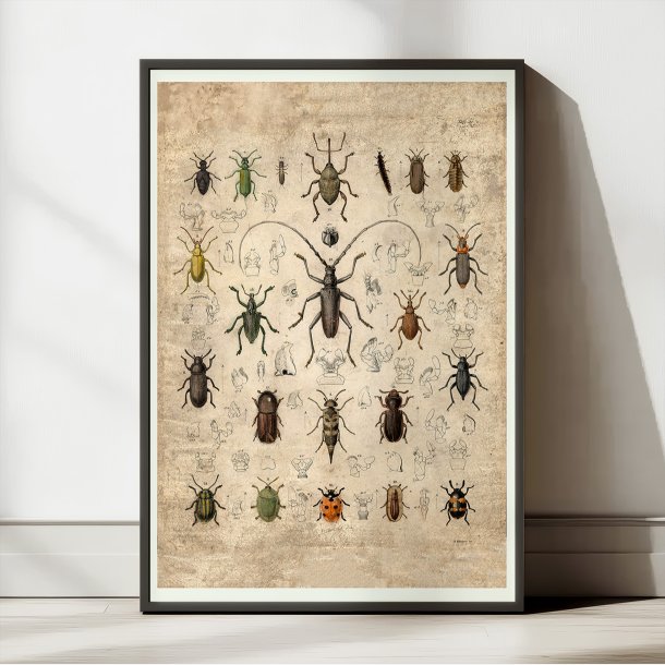 Biller 1850 - Anskuelsestavle