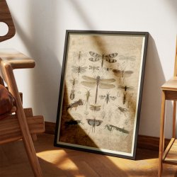 Insekter III 1850 - Anskuelsestavle