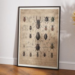 Biller 1850 - Anskuelsestavle