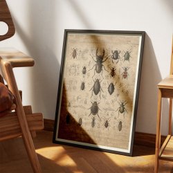 Biller 1850 - Anskuelsestavle