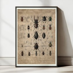 Biller 1850 - Anskuelsestavle