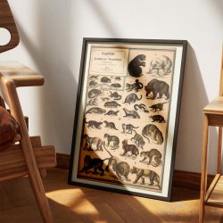 Rovdyr 1890 - Biologisk Anskuelsestavle