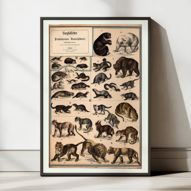 Rovdyr 1890 - Biologisk Anskuelsestavle