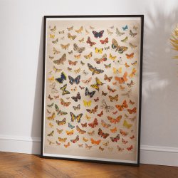 Sommerfugle 1900 - Biologisk Anskuelsestavle