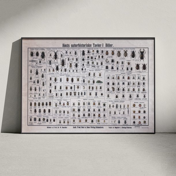 Biller 1909 - Biologisk Anskuelsestavle