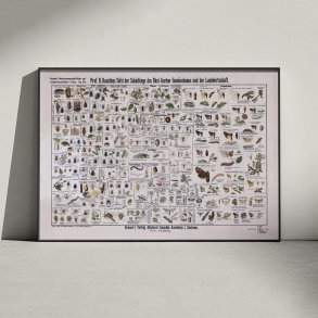 Skadedyr 1910 - Anskuelsestavle