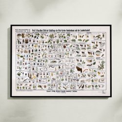 Skadedyr 1910 - Anskuelsestavle