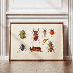 Biller I 1922 - Anskuelsestavle