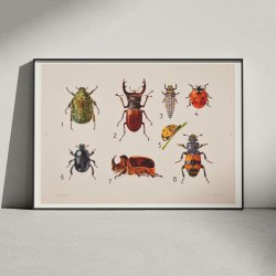 Biller I 1922 - Anskuelsestavle