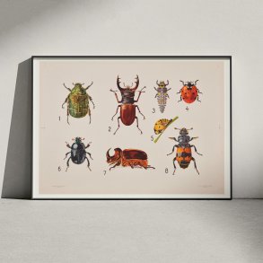 Biller I 1922 - Anskuelsestavle