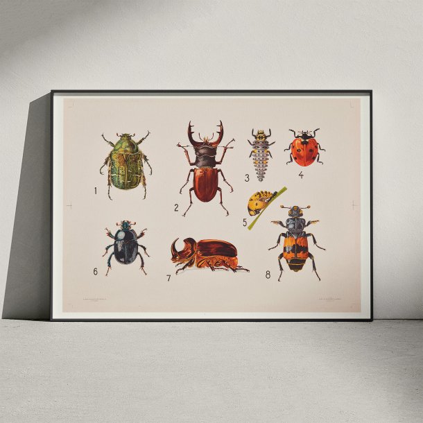 Biller I 1922 - Anskuelsestavle