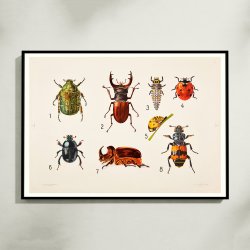 Biller I 1922 - Anskuelsestavle