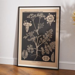 Kommen 1862 - Anskuelsestavle