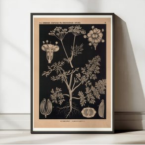 Kommen 1862 - Anskuelsestavle