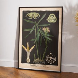 Ingefr 1880 - Anskuelsestavle